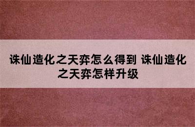 诛仙造化之天弈怎么得到 诛仙造化之天弈怎样升级